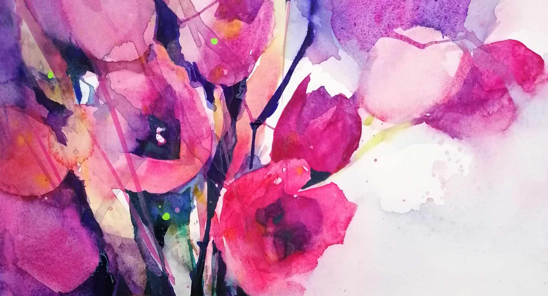 Header Tulpen